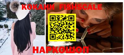 индика Новодвинск
