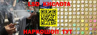 индика Новодвинск