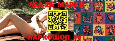 индика Новодвинск