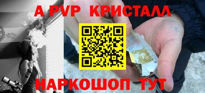 индика Новодвинск