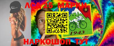 индика Новодвинск
