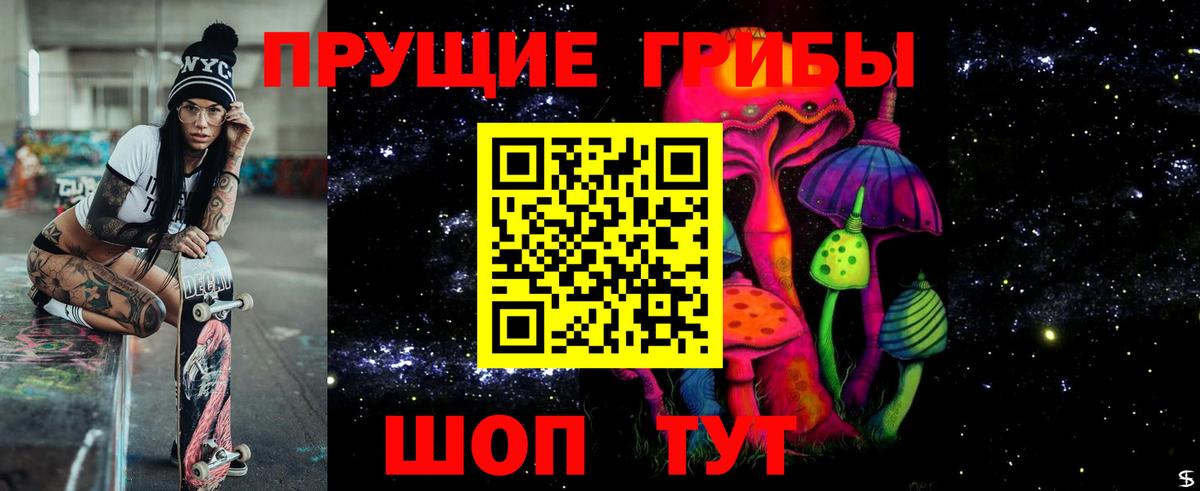 Тавда  Псилоцибиновые грибы Psilocybe  Вход с VPN 
